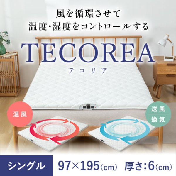 画像1: 多機能マットレス TECOREA/テコリア シングル97×195cm(cm) 厚さ：6cm (1)