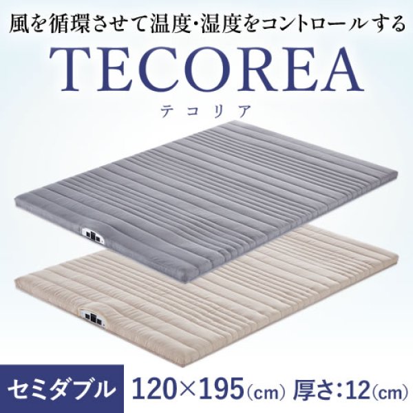 画像1: 多機能マットレス TECOREA/テコリア セミダブル120×195(cm) 厚さ：12cm (1)