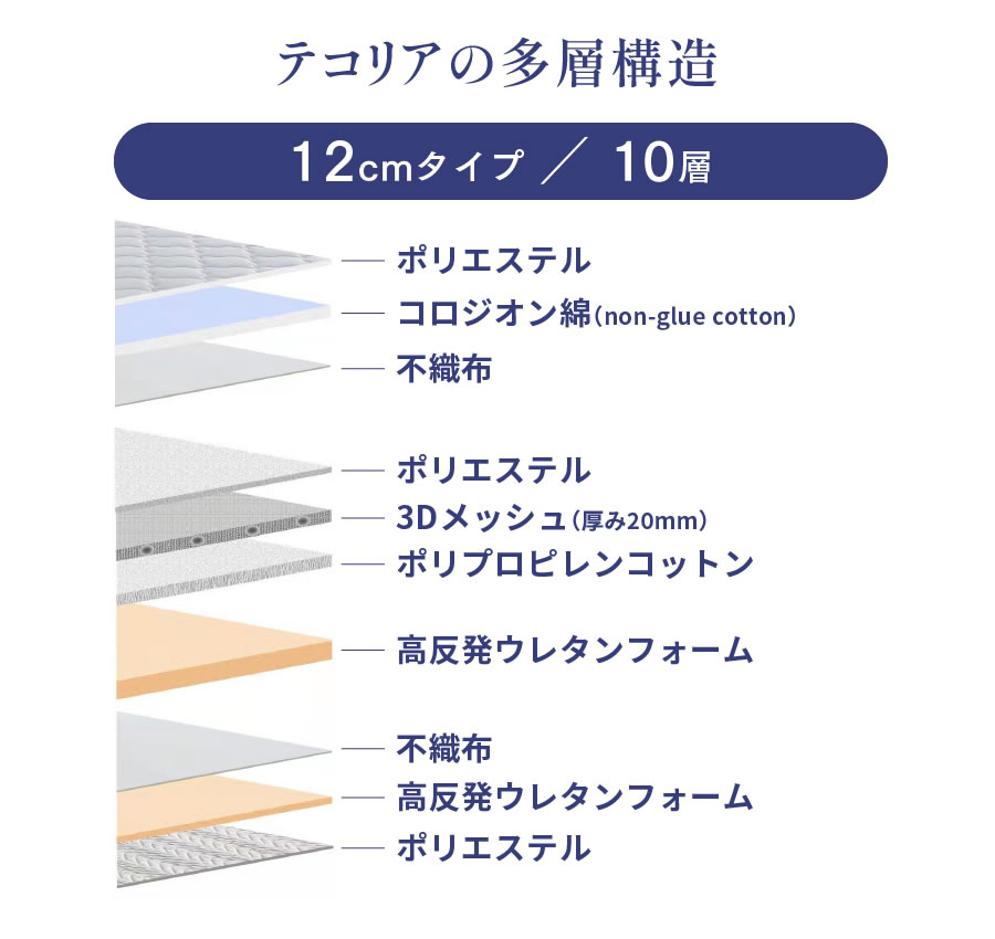 テコリアの多層構造