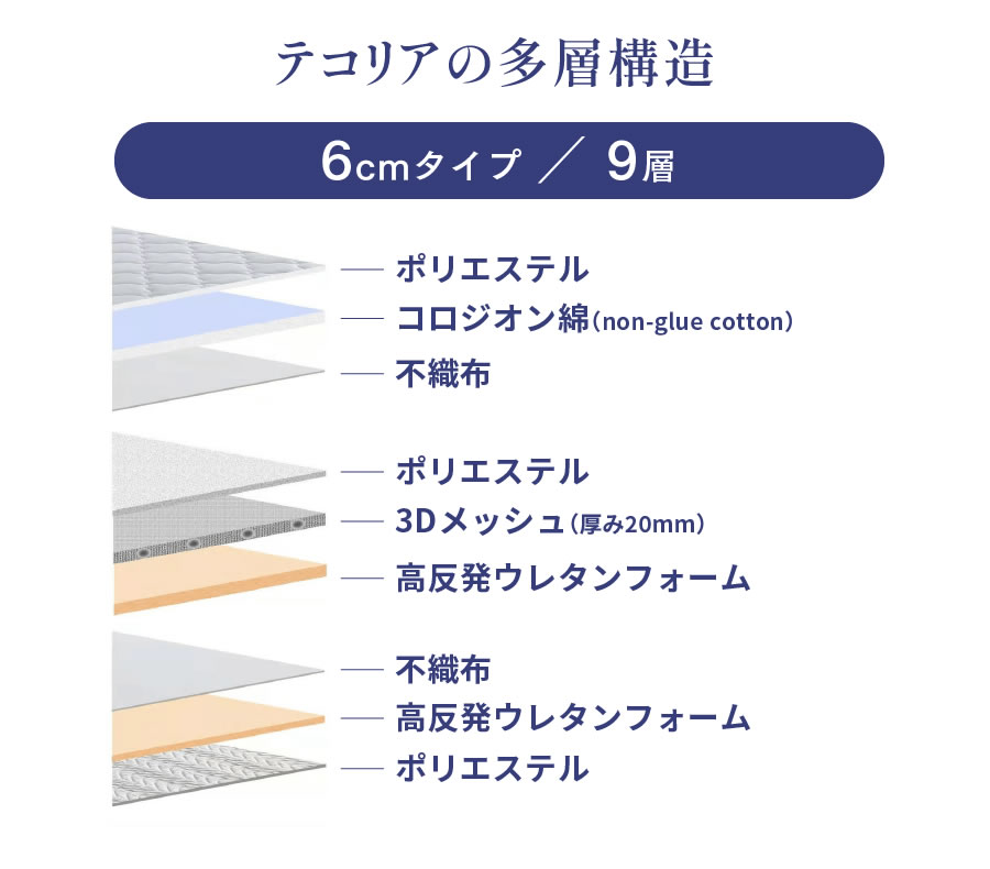 テコリアの多層構造